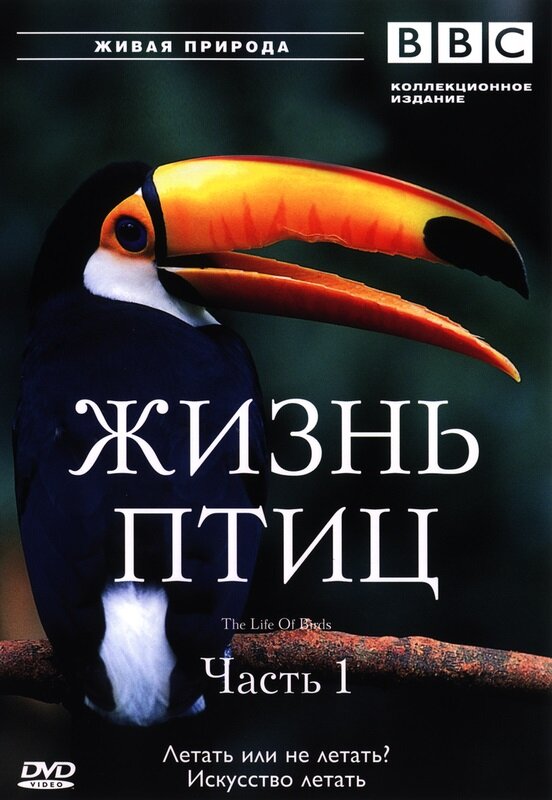 BBC: Жизнь птиц (1998)