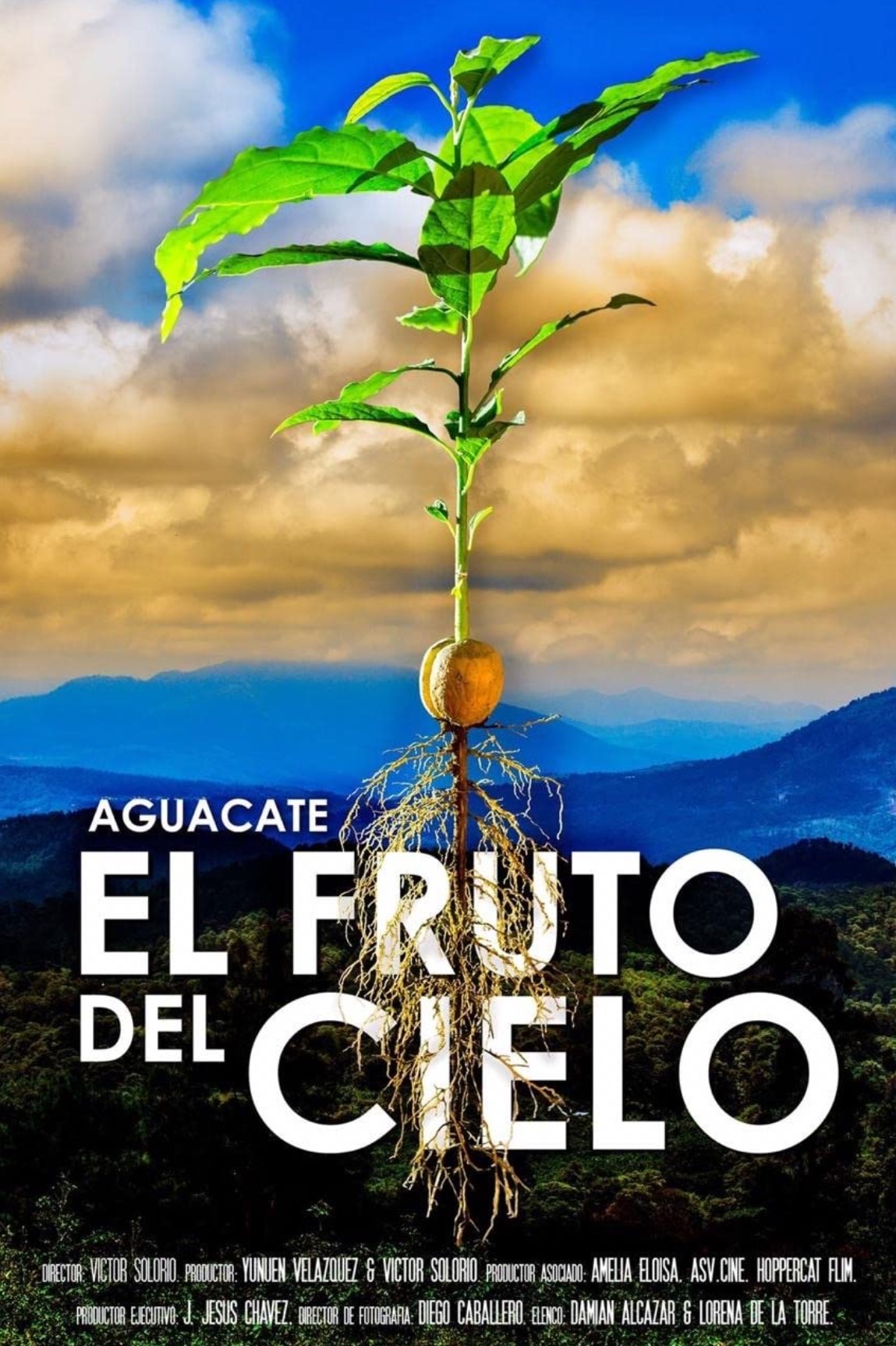 Aguacate El Fruto Del Cielo (2021)