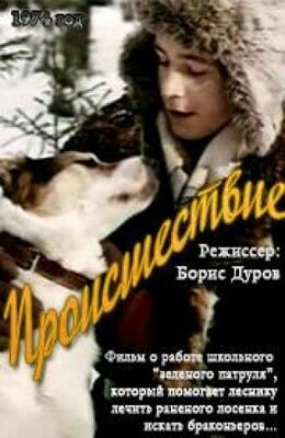 Происшествие (1974)