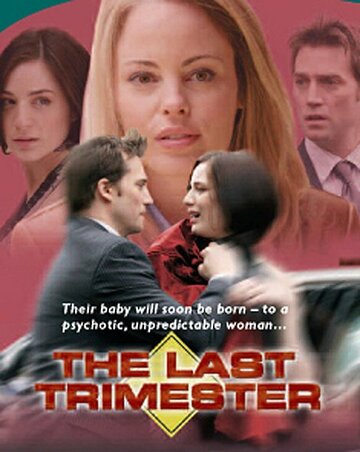 The Last Trimester (2007)